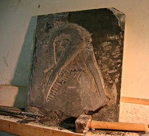 Création d'un bas-relief en ardoise